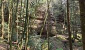 Trail Walking Lutzelbourg - Sentier des roches de Lutzelbourg - Photo 12