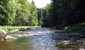 Tour Zu Fuß Fürsteneck - Fürstenecker Triftsteig - Photo 9