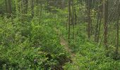 Tocht Stappen Lentilly - sentier bois des tannerie Lentilly - Photo 9