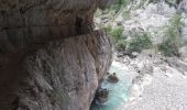 Trail Walking Aiguines - gorges du version  - Photo 10