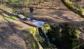 Trail Walking Saint-Médard-en-Forez - Boucle de St Médard - Photo 1