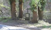 Tour Zu Fuß Unbekannt - Trier Wanderweg T2 (Euren Helenenbrunnen - Napoleonsbrücke B51) - Photo 5