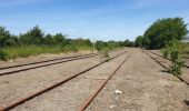 Tour Wandern La Calotterie - Autour de Montreuil sur mer  - Photo 1