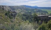 Trail Walking Caussols - De Caussols vers le sommet et le plateau de Calern - Photo 11