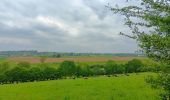 Randonnée Marche Anthisnes - La Rock . bois de Comblain . Sparmont - Photo 11