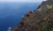 Tocht Trail San Cristóbal de La Laguna - Punta del Hidalgo - Chinamada - Punta del Hidalgo - Photo 12