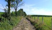 Trail Walking Olne - Du plateau à la vallée. Olne - Photo 20