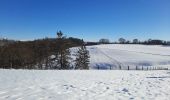 Randonnée Marche Dalhem - dalhem-val dieu sous la neige  - Photo 6