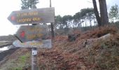 Trail On foot Roaillan - Les Gemeys : circuit départemental - Photo 6