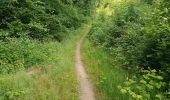 Percorso Marcia Dinant - Anseremme - Moniat - Dinant - Anseremme - Photo 4