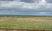 Trail Walking Le Mont-Saint-Michel - GR_34_AA_01_Mt-St-Michel_St-Marcan_20230318 - Photo 4