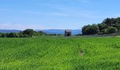 Tocht Stappen Chantemerle-lès-Grignan - Chantemerle Grignan - Photo 4