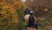 Trail Horseback riding Soucht - suuntoapp-HorsebackRiding-2024-11-09T08-23-34Z - Photo 7