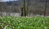 Tour Wandern Herbeumont - Pierre Perrin  - Photo 10