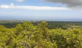 Tocht Stappen Saint-Benoît - Foret des Ravenales - Photo 5