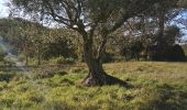 Excursión Senderismo Cuges-les-Pins - maison Jean de florette  - Photo 13