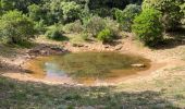 Randonnée Marche Puéchabon - Le Plateau de Montcalmes par Puechabon - Photo 1