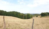 Excursión Bici eléctrica Ronse - Renaix- La Houppe par Ellezelles - Photo 8