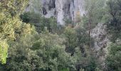 Trail Walking Le Castellet - Le vallon des martyr  - Photo 3