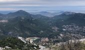 Excursión Senderismo Le Revest-les-Eaux - Le Mont Caume  - Photo 19