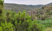 Excursión Senderismo Roquebrune-sur-Argens - Roquebrune - monastère de Notre Dame de pitié  - Photo 6