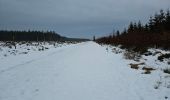 Percorso Marcia Waimes - Hautes-Fagnes ❄️☃️ - WM1 🟦 - Photo 14