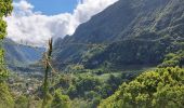 Tocht Stappen Salazie - tour du piton maillot - rivière du mat - Photo 5