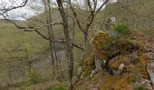 Percorso A piedi Saint-Gervais-d'Auvergne - Les Gorges de la Sioule - Photo 9