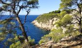 Trail Walking Saint-Cyr-sur-Mer - Port d'Alon-Madrague - Photo 6