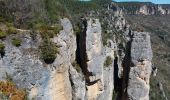 Excursión Senderismo Le Rozier - Les corniches des gorges de la Jonte et du Tarn - Photo 1