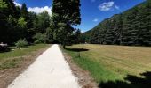 Trail Walking Saou - Petit et Grand Pomerolles - Forêt de Saoù - Photo 13