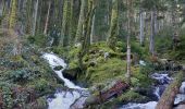 Tour Wandern Stoßweier - Saegmatt Cascade de Stolz Ablass Frankenthal - Photo 9