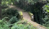 Trail Walking Lyas - Lyas  la Neuve  azur - Photo 10