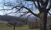 Trail Walking Chasselay - Chasselay chemin de Fromentin vers Limonest Mt Verdun - Photo 5