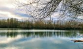 Tour Wandern Moret-Loing-et-Orvanne - Boucle Moret sur Loing - Montigny sur Loing + Forêt de Fontainebleau - Photo 1