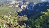Trail Walking Labastide-de-Virac - les gorges de l'Ardèche  - Photo 3