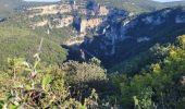 Percorso Marcia Labastide-de-Virac - les gorges de l'Ardèche  - Photo 3