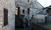 Tour Zu Fuß Gaiole in Chianti - Trekking tra i castelli 11 - Photo 5