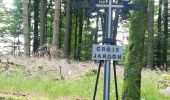 Tocht Stappen Sainte-Marie-aux-Mines - rocher des chèvred - Photo 9