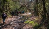 Trail Walking Soligny-la-Trappe - Soligny-la-Trappe - Tourouvre - voie Sud 11 Km - Photo 7