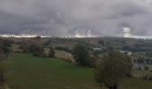 Tocht Noords wandelen Prades-d'Aubrac - SityTrail - Sentier thématique de Brameloup - Photo 15