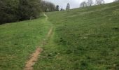 Tour Wandern Stablo - Stavelot et les crêtes de l’Amblève - Photo 5