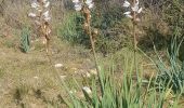 Excursión Senderismo Nîmes - Clos Gaillard  - Photo 20