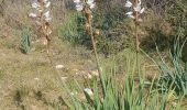 Randonnée Marche Nîmes - Clos Gaillard  - Photo 20