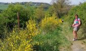 Tocht Noords wandelen Doische - Adeps Gochenée  - Photo 5