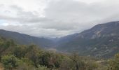 Tour Wandern Mollans-sur-Ouvèze - La montagne de Bluye par Saint-leger du Ventoux  - Photo 1