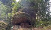 Trail Walking Domfaing - Les hauts de Domfaing - Photo 3
