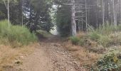 Excursión Senderismo Le Bessat - Croix de Chaubouret - Crêt de Botte - Col de l'Oeuillon  - Photo 19