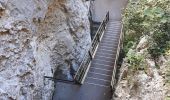 Tour Wandern La Palud-sur-Verdon - Sentier Blanc Martel IGN  3442 OT - Photo 2