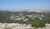 Trail Walking Marseille - PF-Les calanques - Le Mont Puget - Photo 12